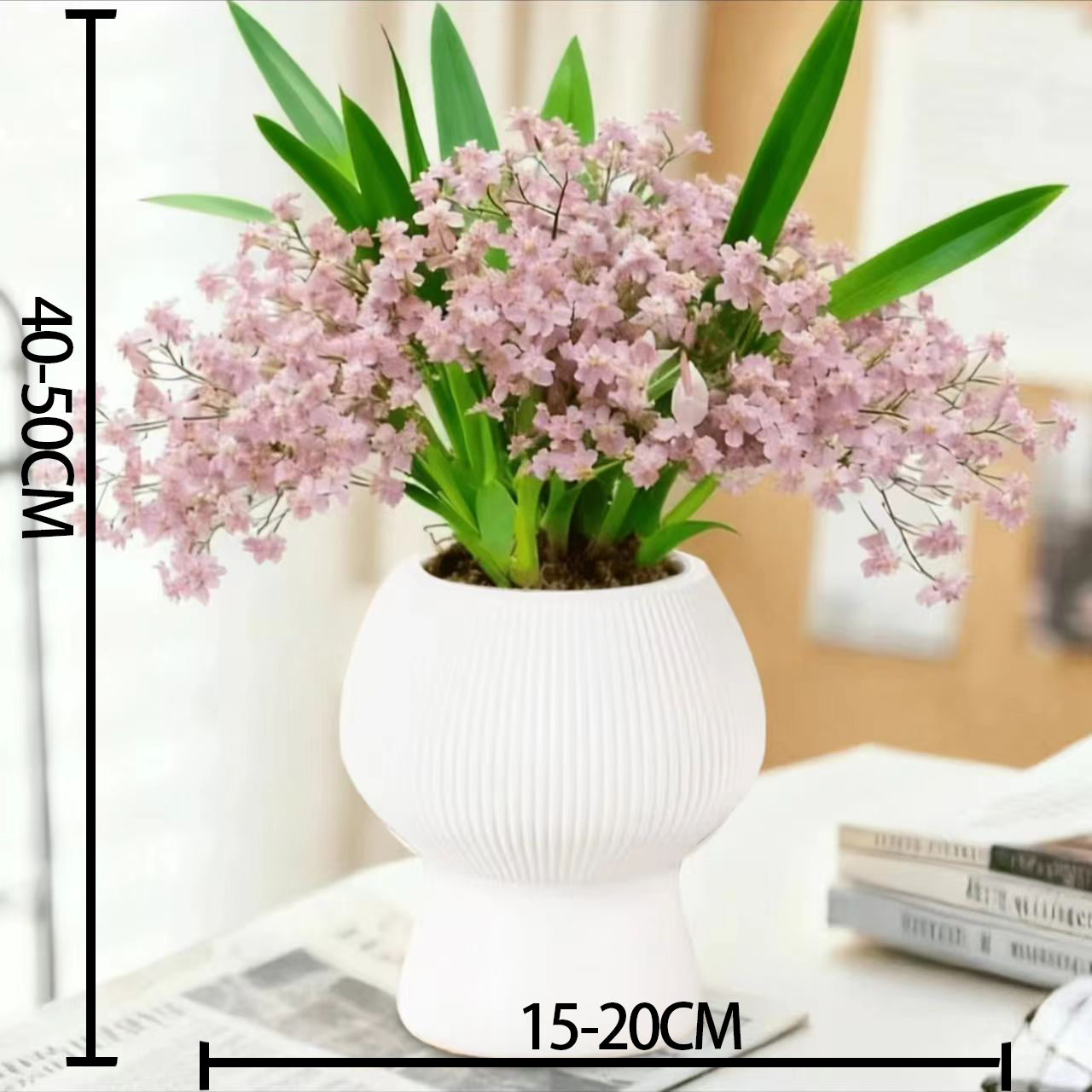 【梦香兰丨粉色】带花苞6-8花剑文心兰浓香型室内桌面好养花卉绿植