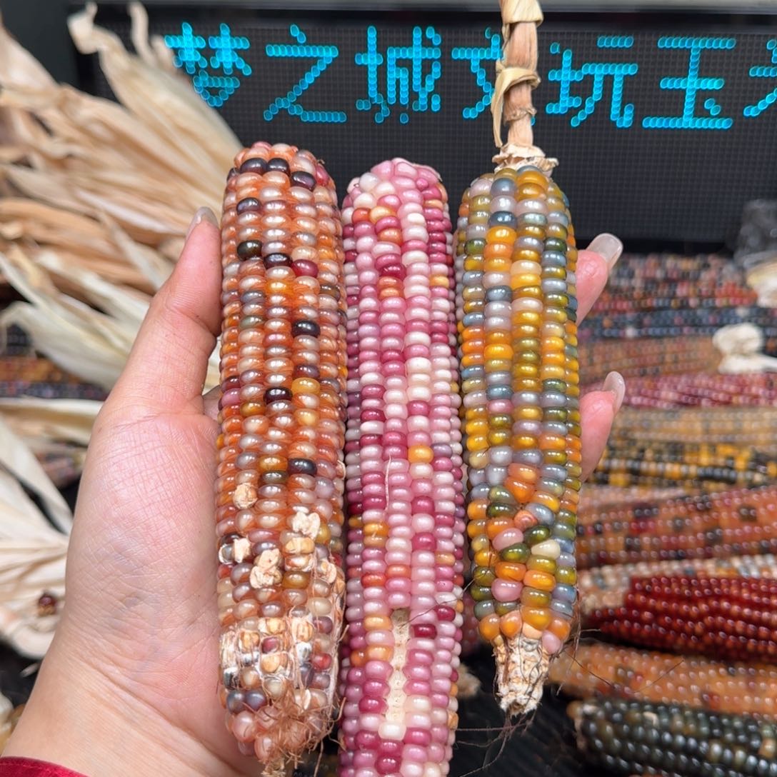 柏香籽/百香籽吊坠小*阳