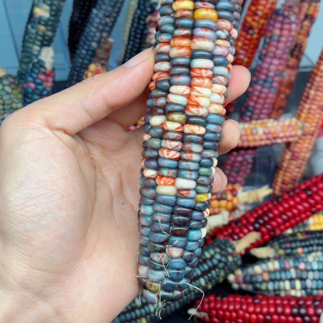 *****白玉菩提吊坠文玩精品文玩精品