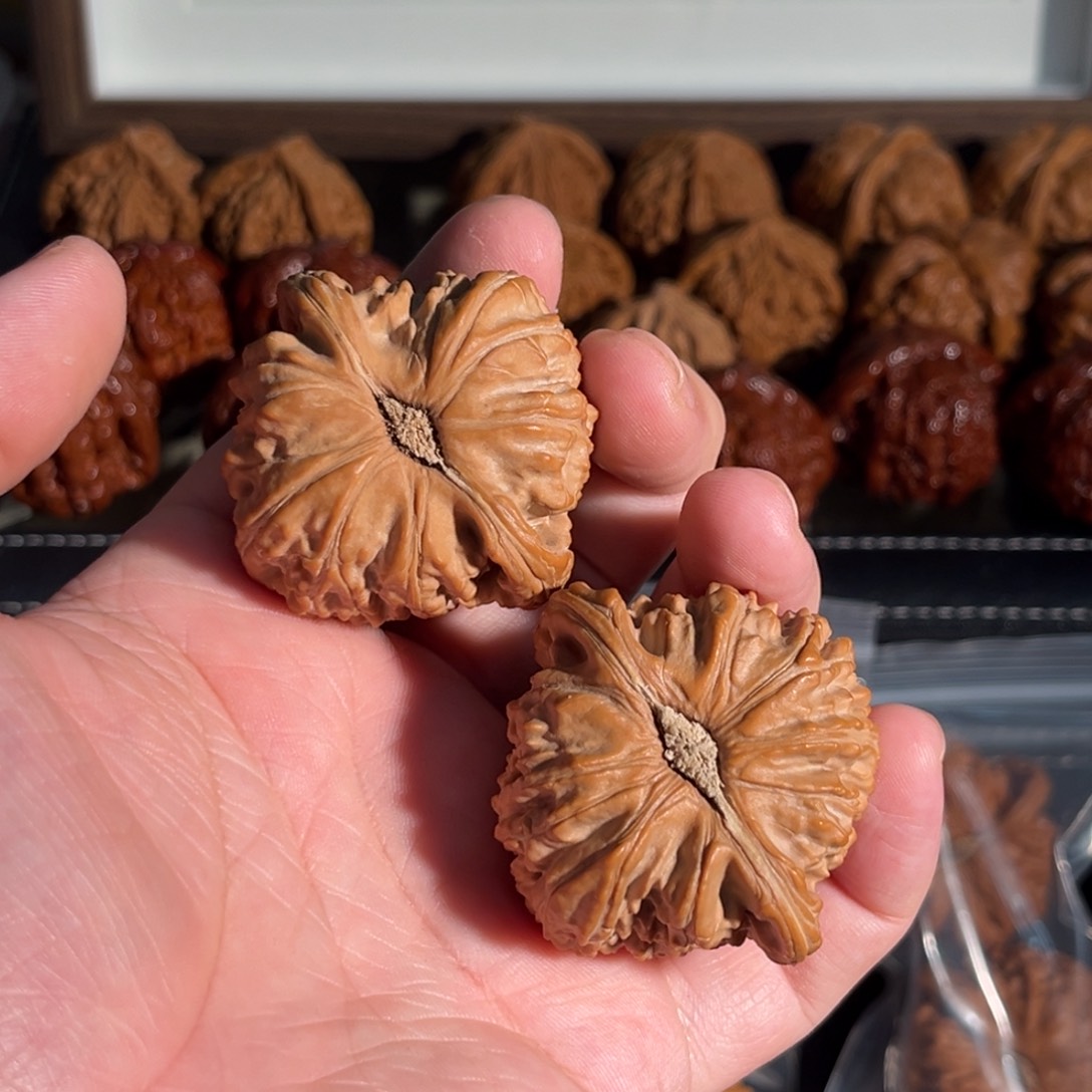 核桃手串/手链47全品球白