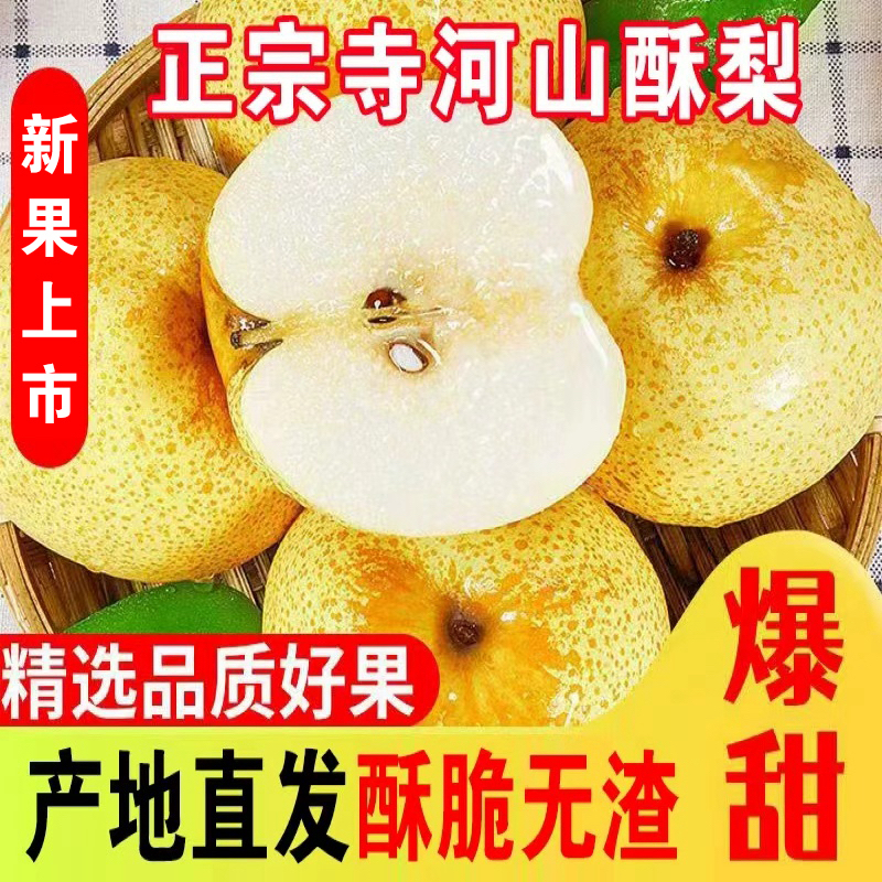 灵宝寺河山2025年无渣酥梨非砀山梨当季新鲜水果正宗10斤现货包邮