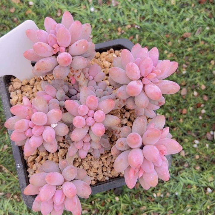 健健康康平平安安