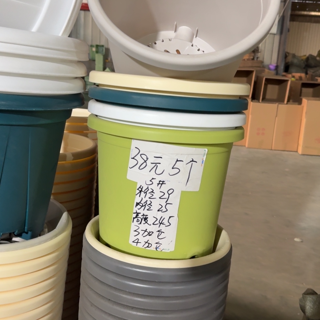 四季5#口径29带拖灰白10套