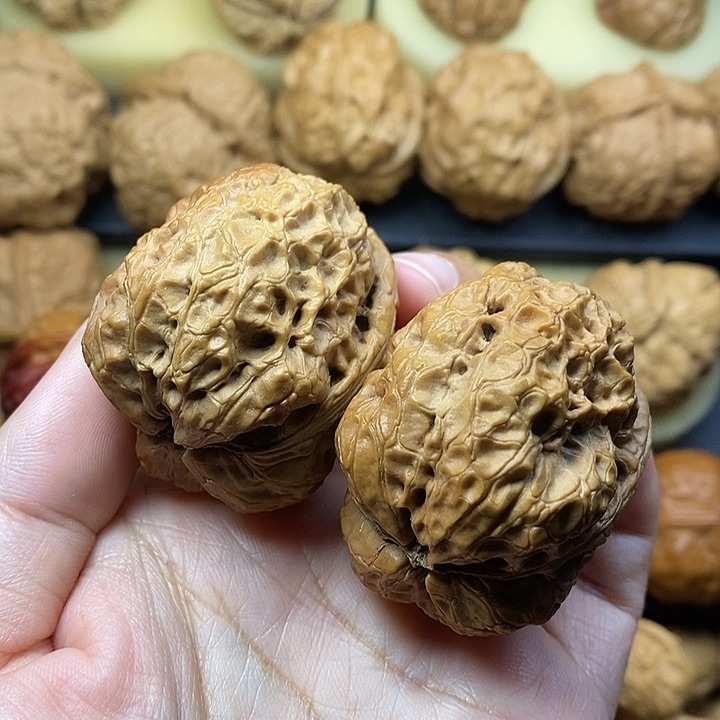 吊坠桃核霸王龙44