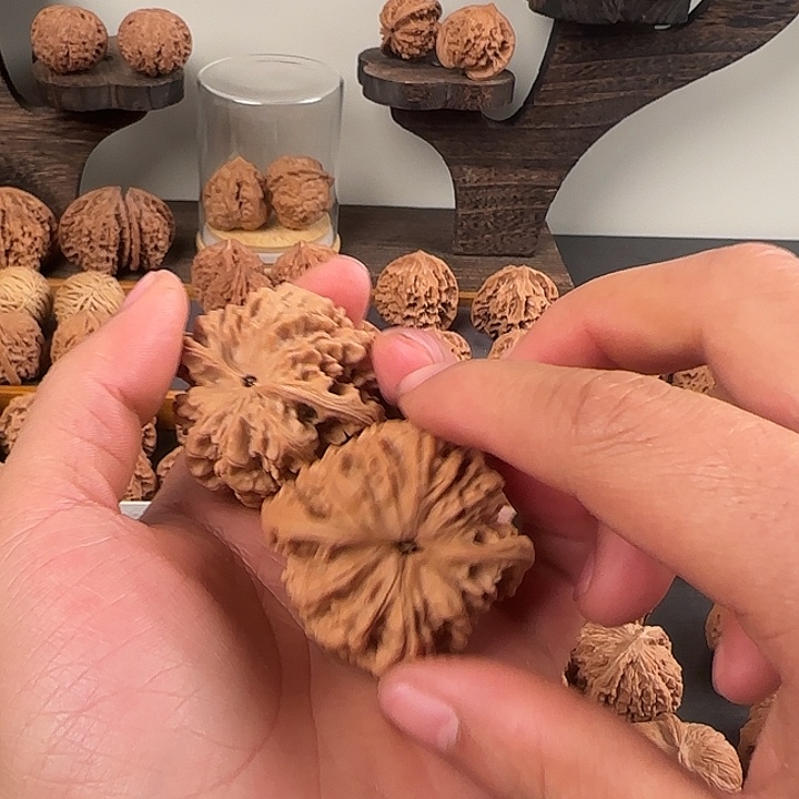 核桃微瑕打工妹dgcf