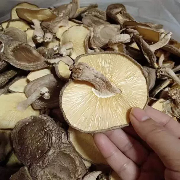 当季新货易泡发香菇干货煲汤佳品