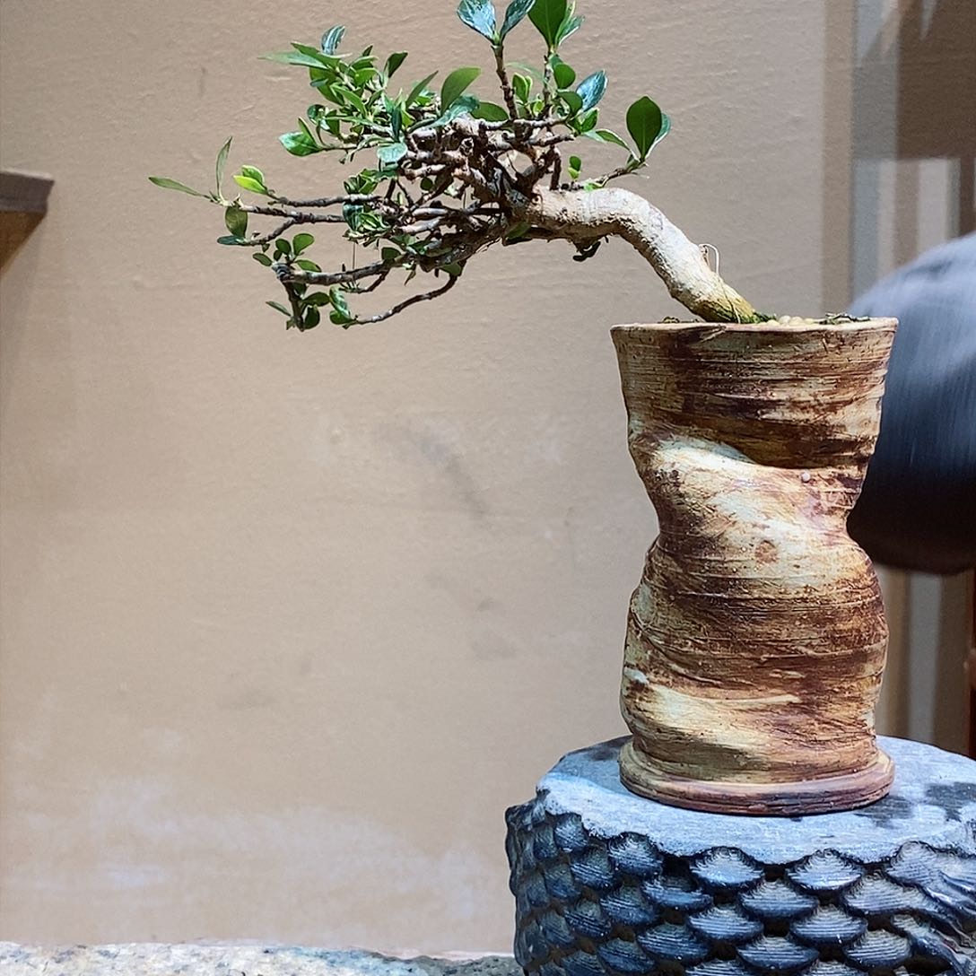 无花朵布****p栀子花