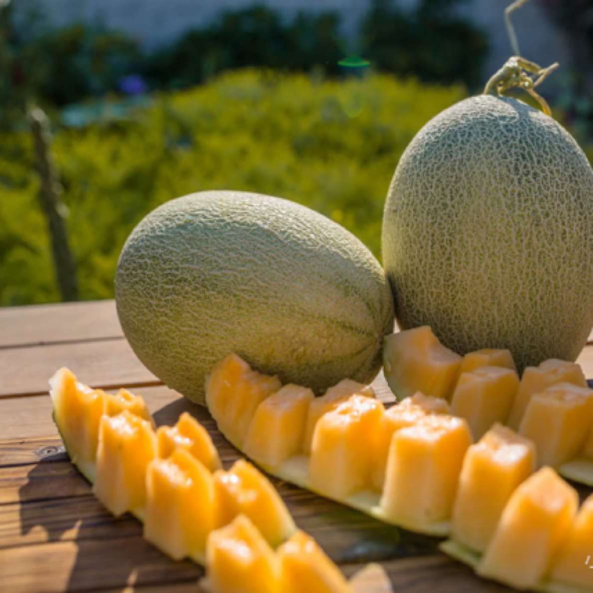 果切海南哈密瓜鲜果切一盒kg