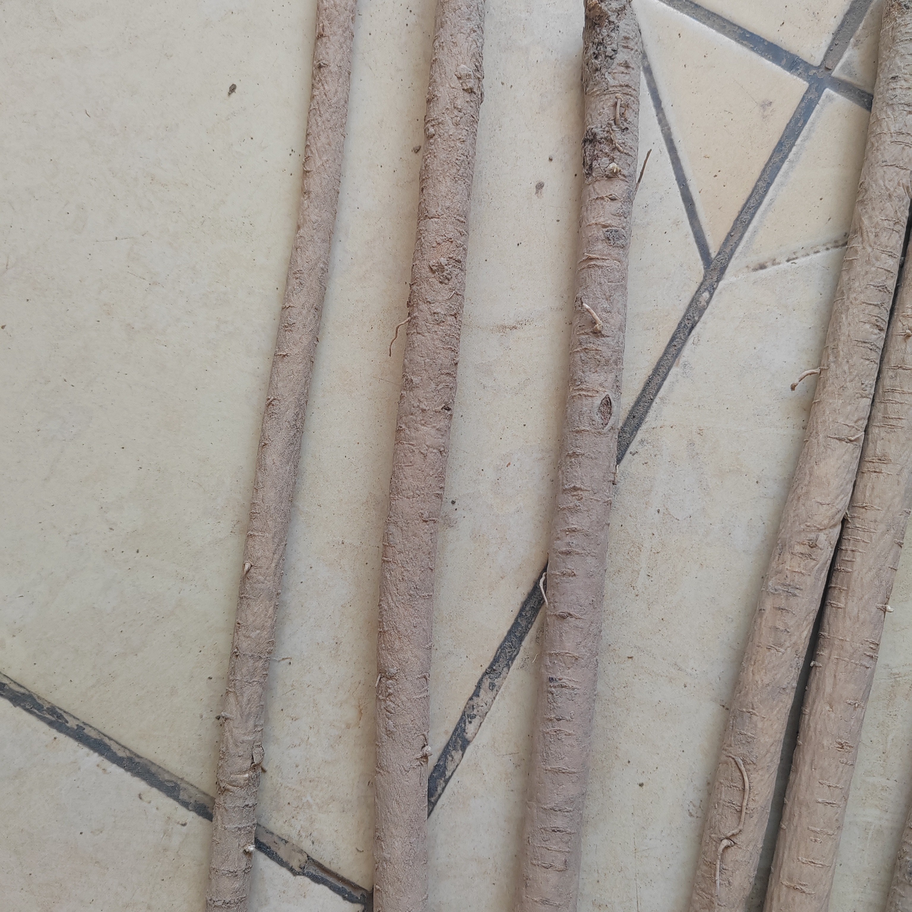 甘肃省定西漳县原产地黄芪（截子）（九成干）