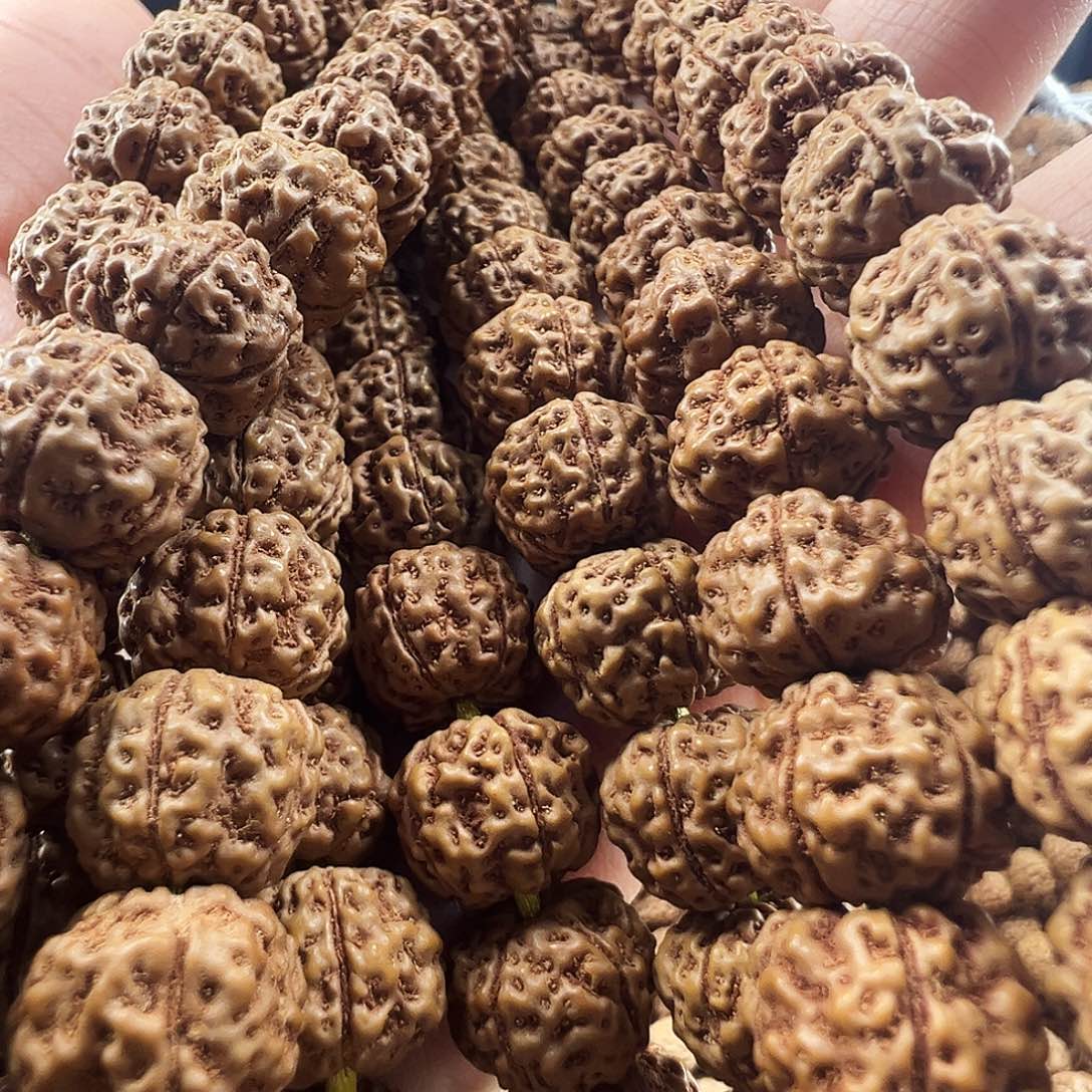 吊坠金刚菩提天价蜂王11m