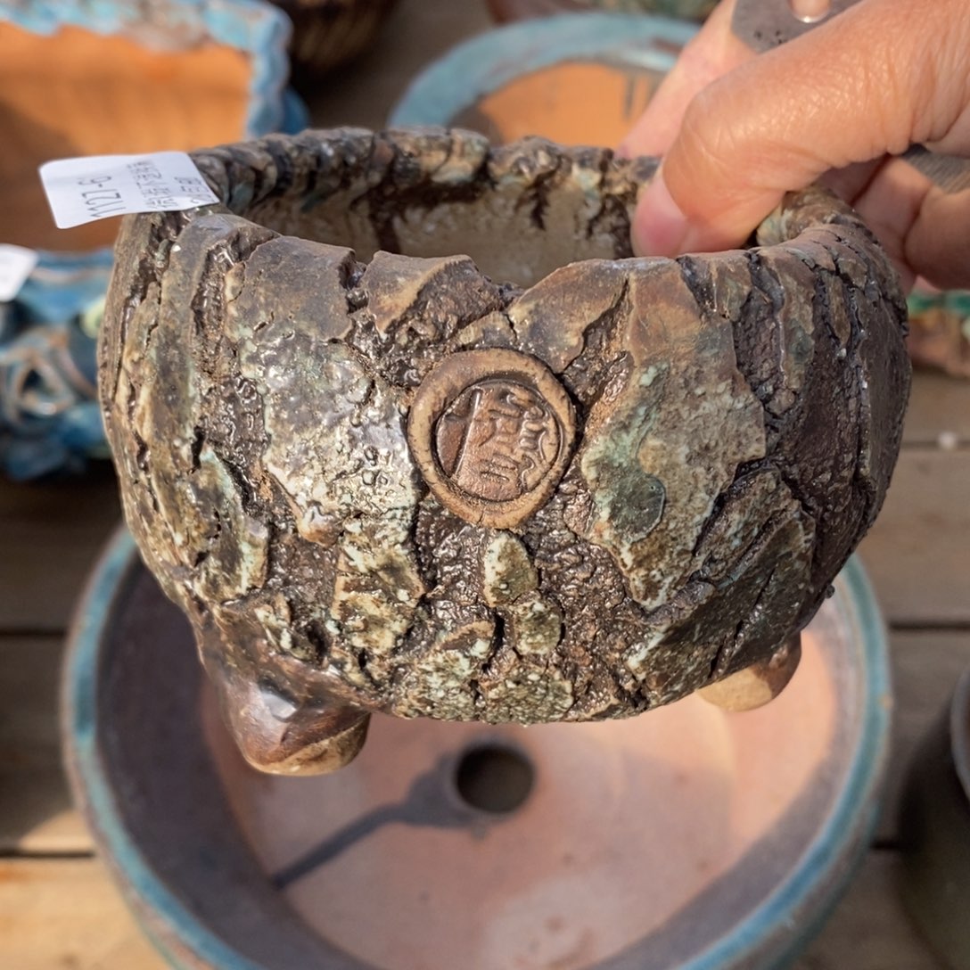 61《号多肉盆口径8.5