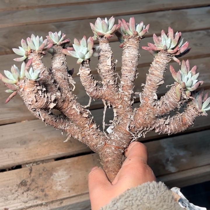 102哈哈哈哈哈哈哈哈哈哈