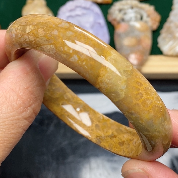 硅化珊瑚（珊瑚玉）手镯未镶嵌57