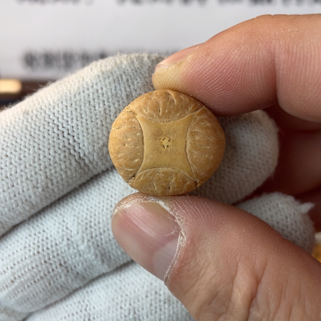 *****凤眼菩提吊坠凤眼菩提麒麟眼单颗 打孔不退不换