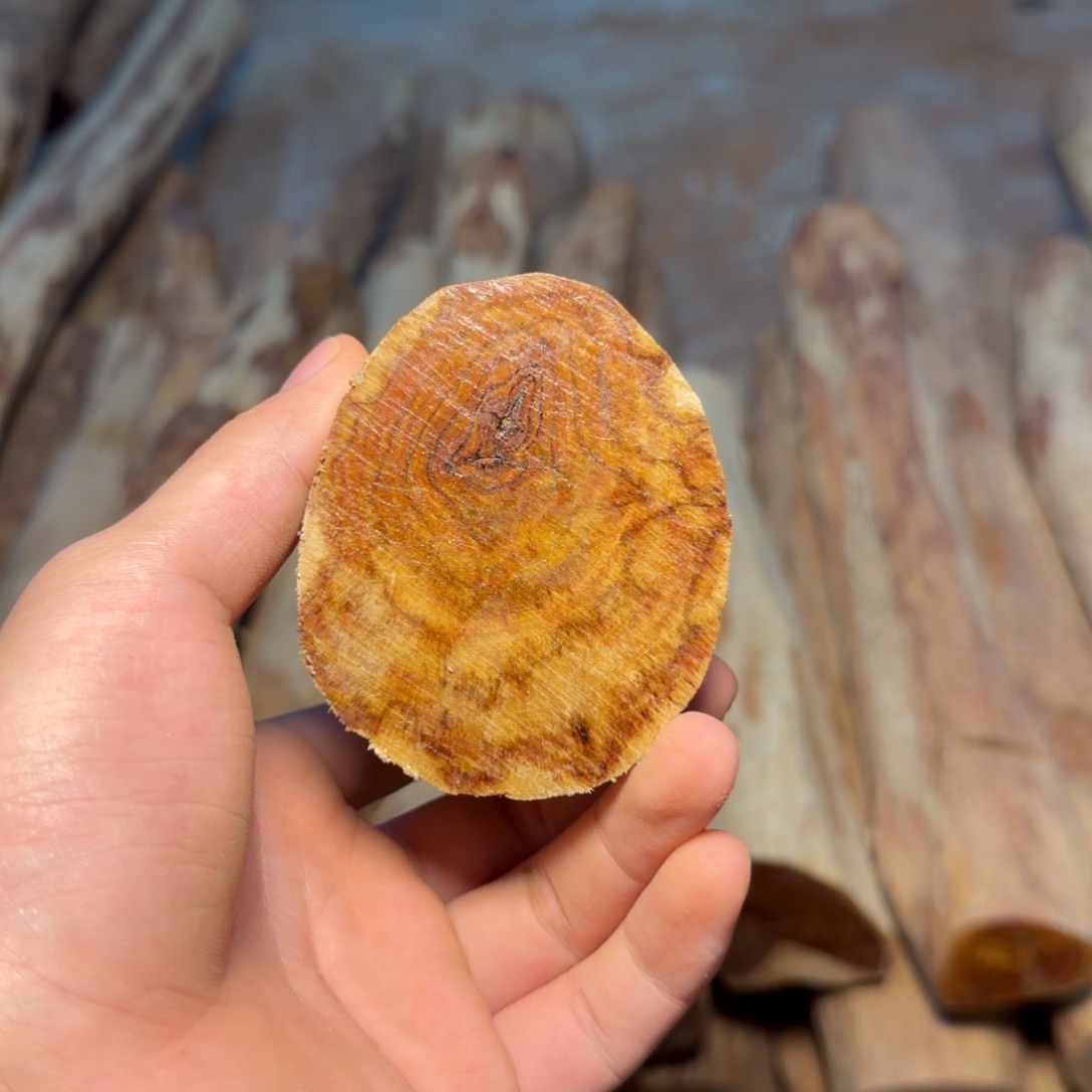 文***竹黄花梨/降香黄檀海南黄花梨