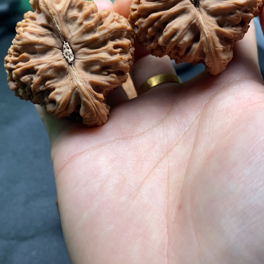 弈***…手串/手链核桃南疆