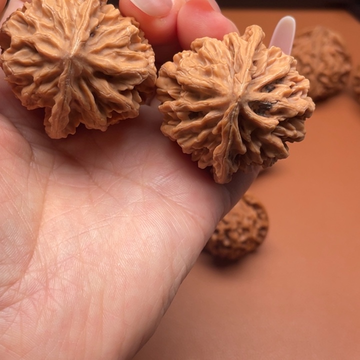 ～***～秦核等人的故事也在这里