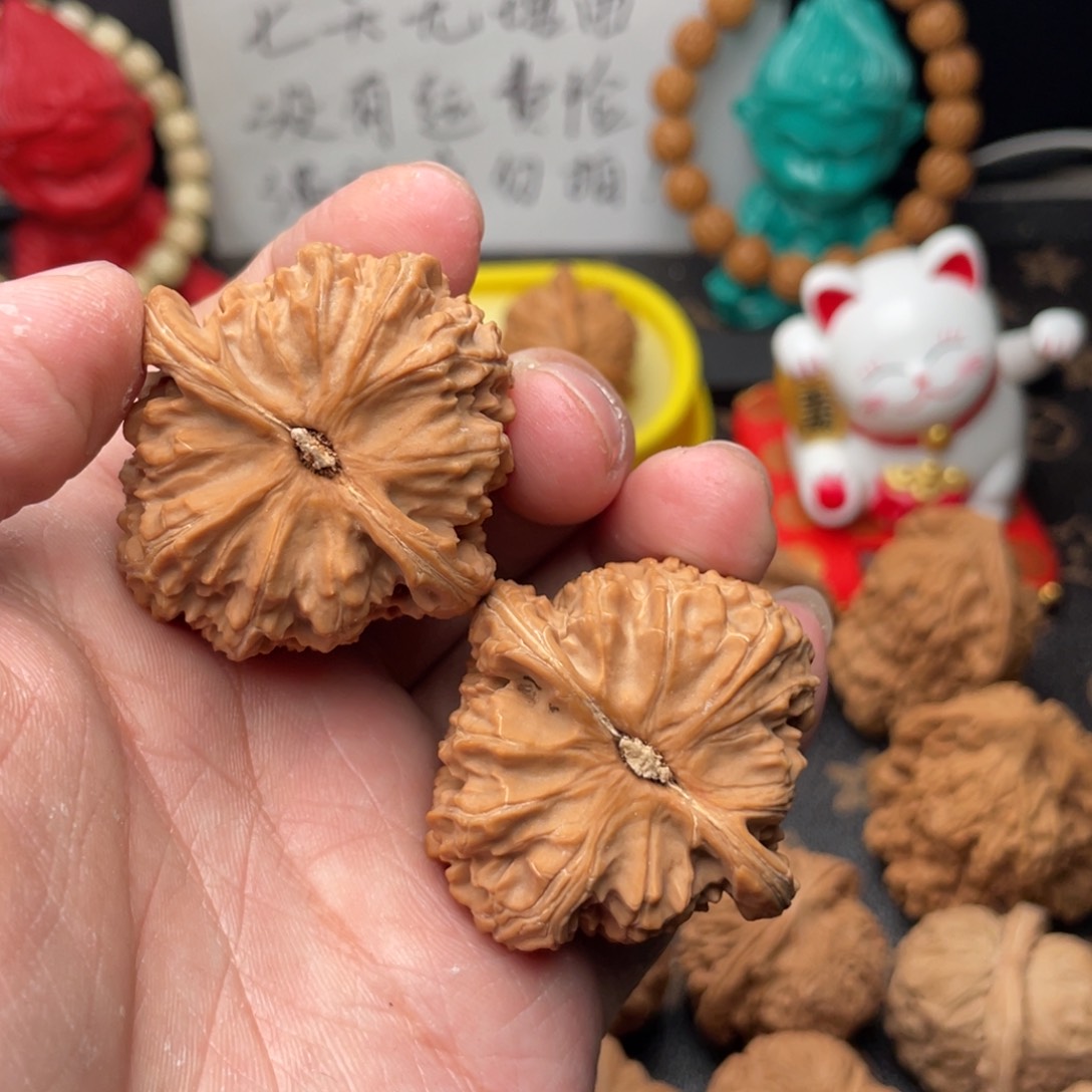 核桃把件我****完41白狮子无修