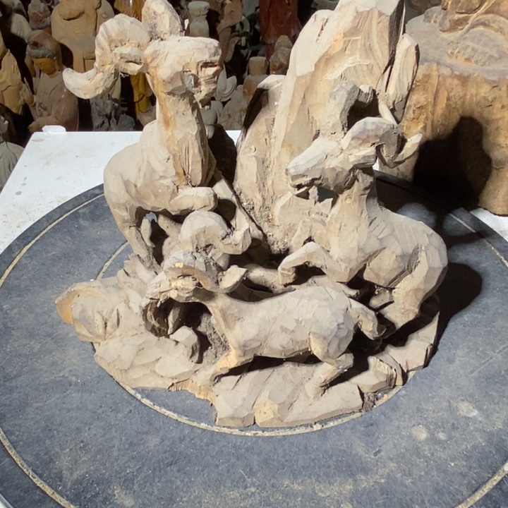 华***园香樟木34346494949