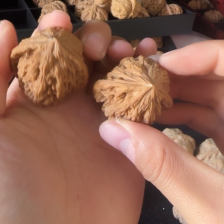 沉***子吊坠龙脊菩提啊啊啊啊啊啊野生26