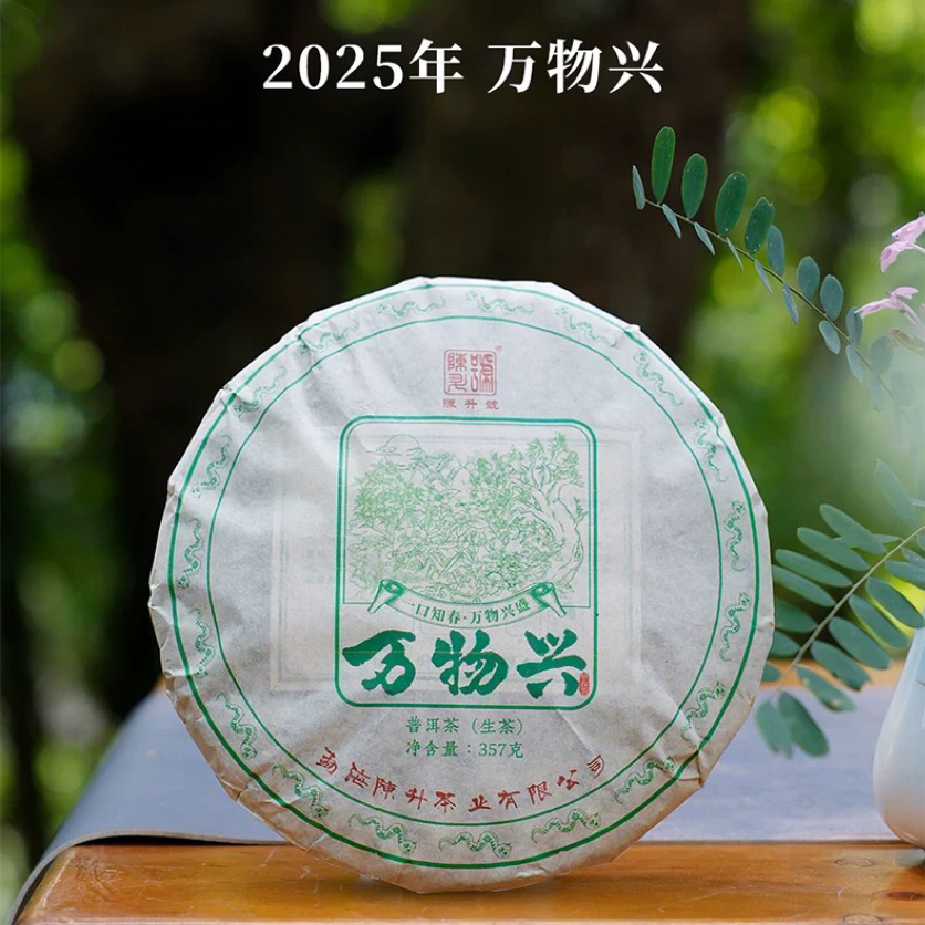 【顺丰】2025年陈升号万物兴357g大树茶头春茶勐海普洱生茶饼茶叶