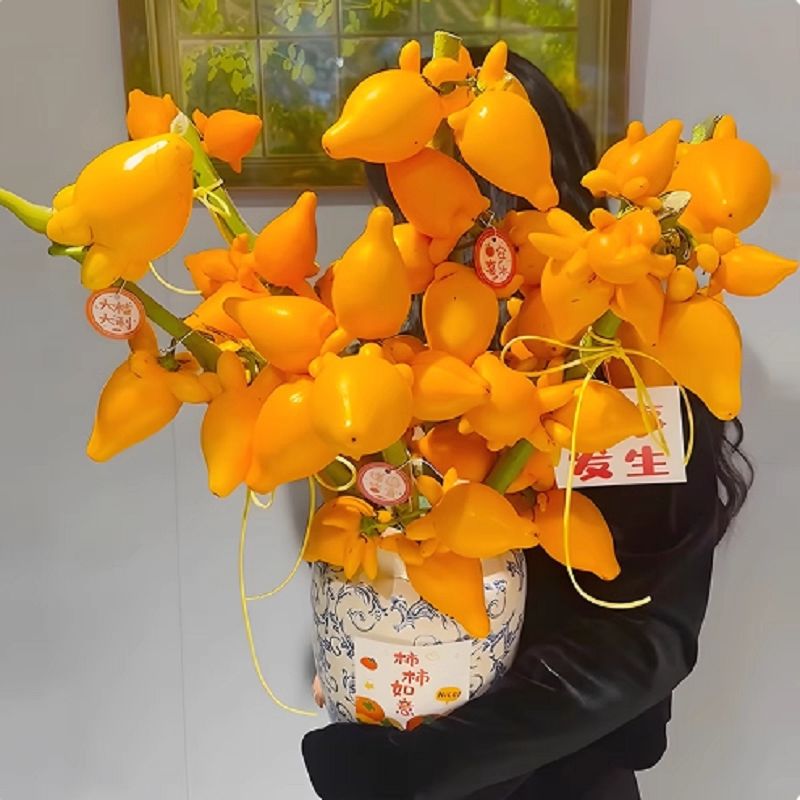 【五代果/黄金果】鲜果真果绿植福禄果鲜花花卉好养室内摆黄果 一