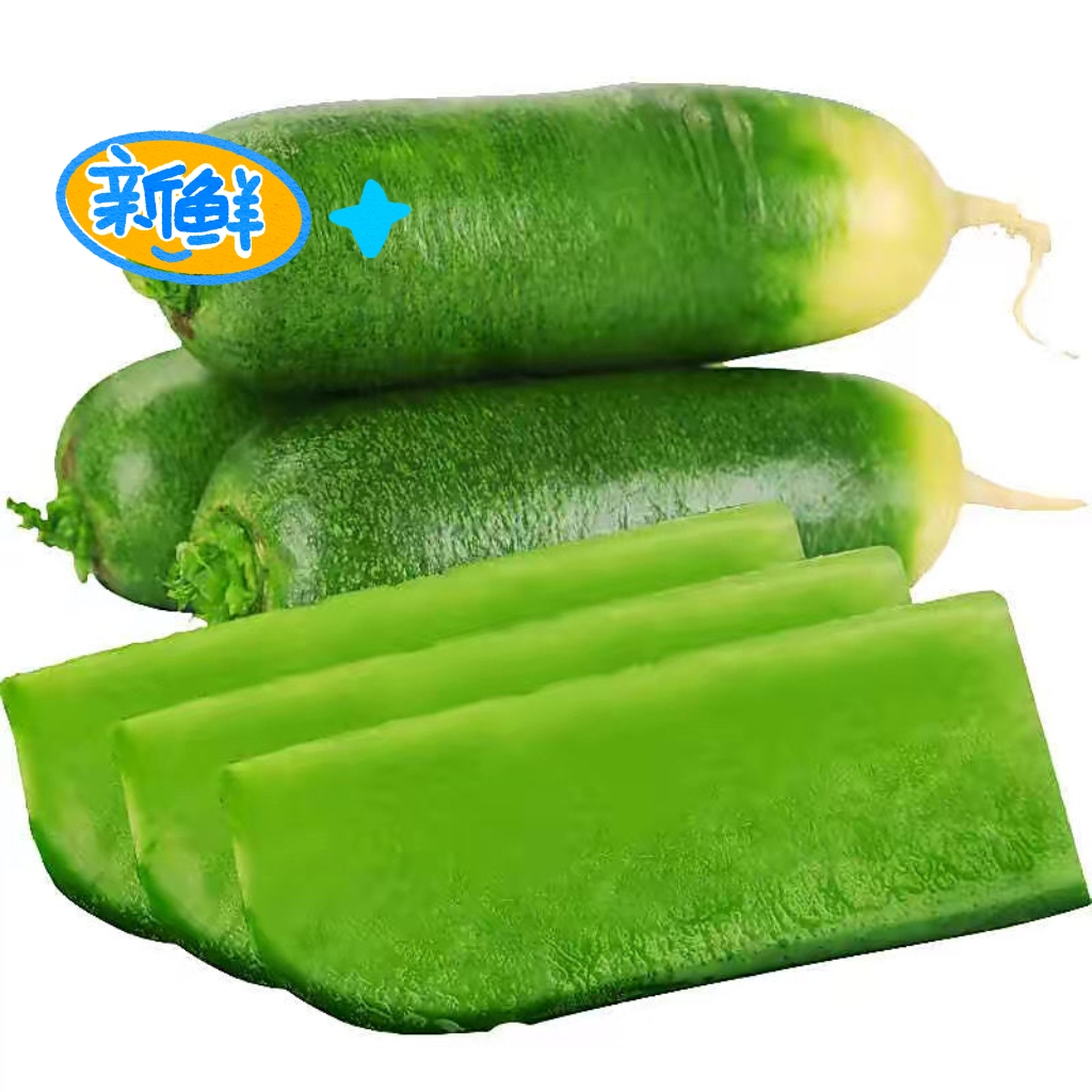 现拔现发水果萝卜正宗潍坊青萝卜潍坊水果萝卜青皮绿心脆甜多汁