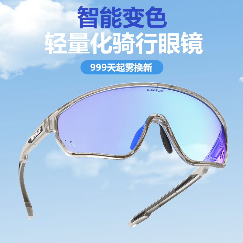 鲸鱼R3S【全框】防雾日夜两用骑行眼镜防尘防风户外登山跑步