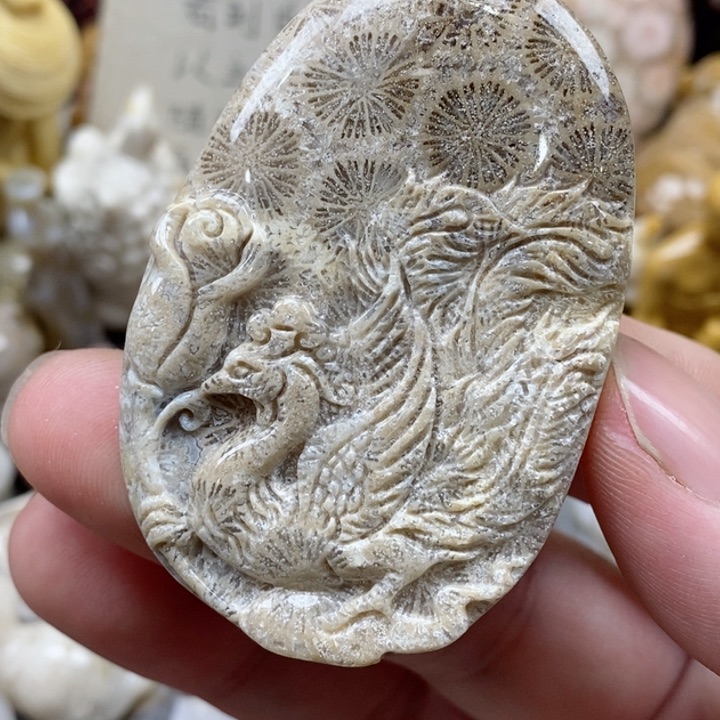 颈饰未镶嵌硅化珊瑚（珊瑚玉）