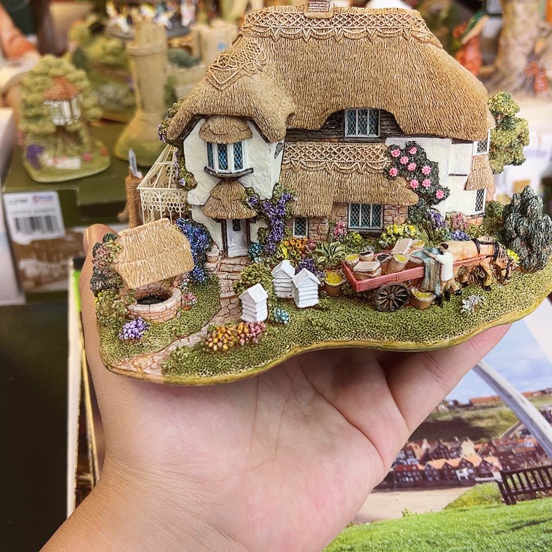 杯哈哈哈哈哈哈哈哈哈