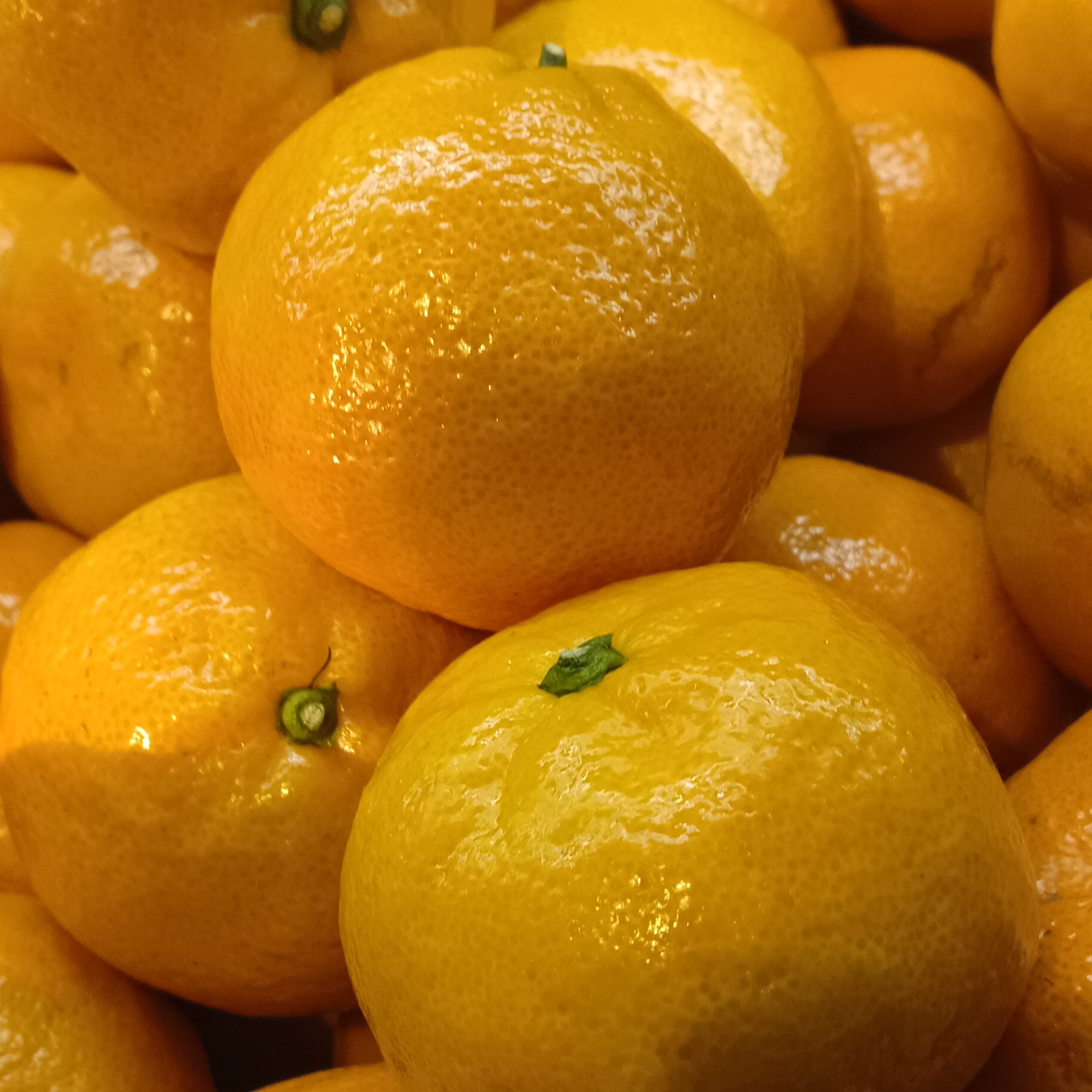 好吃的新鲜甜蜜桔三斤装一份