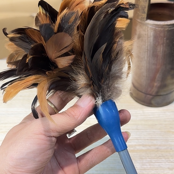 两***腿回流杂项杂项杂项