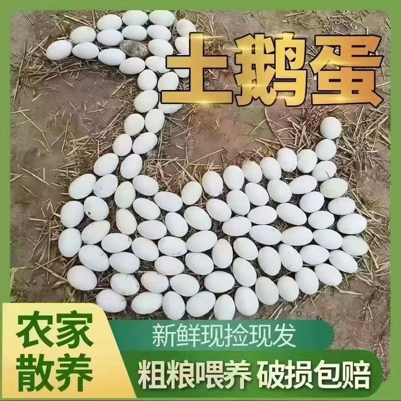 破损包赔农家散养土鹅蛋雁鹅蛋新鲜现捡大个适用孕妇小孩宝宝