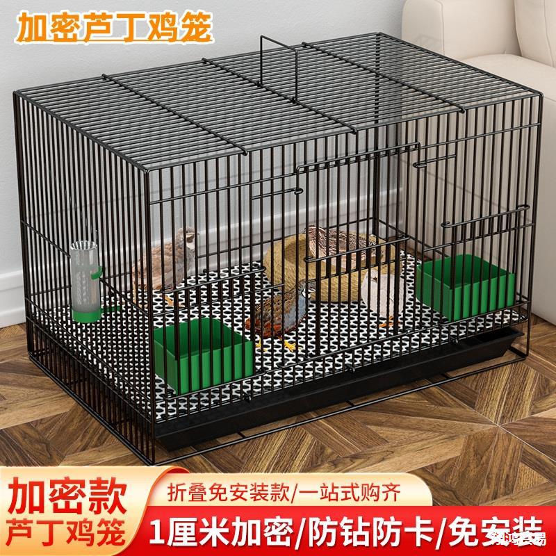 芦丁鸡专用家用鸡笼加密笼小鹌鹑养殖雏鸡宠物笼小黄柯尔鸭笼