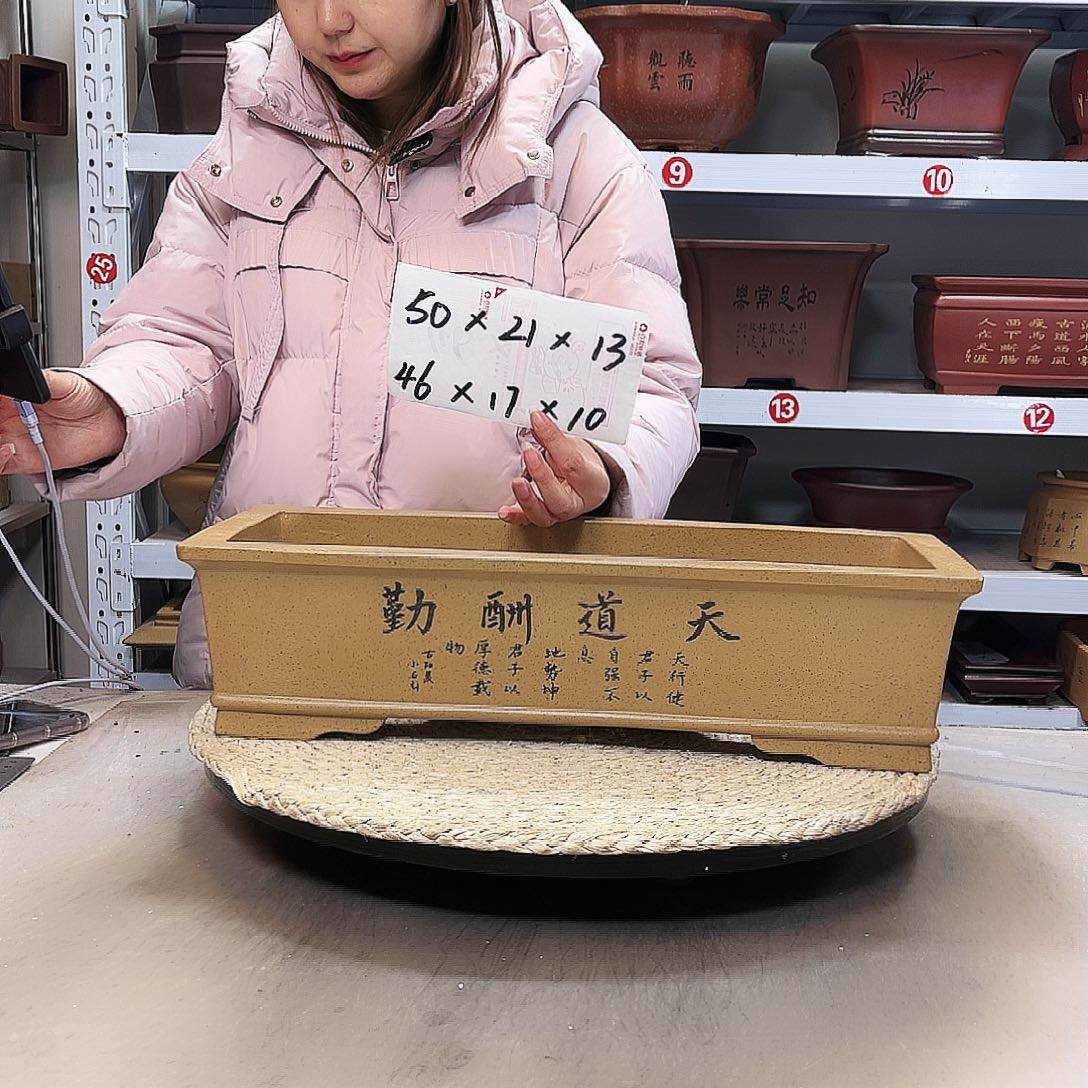 紫砂花盆紫砂花盆里