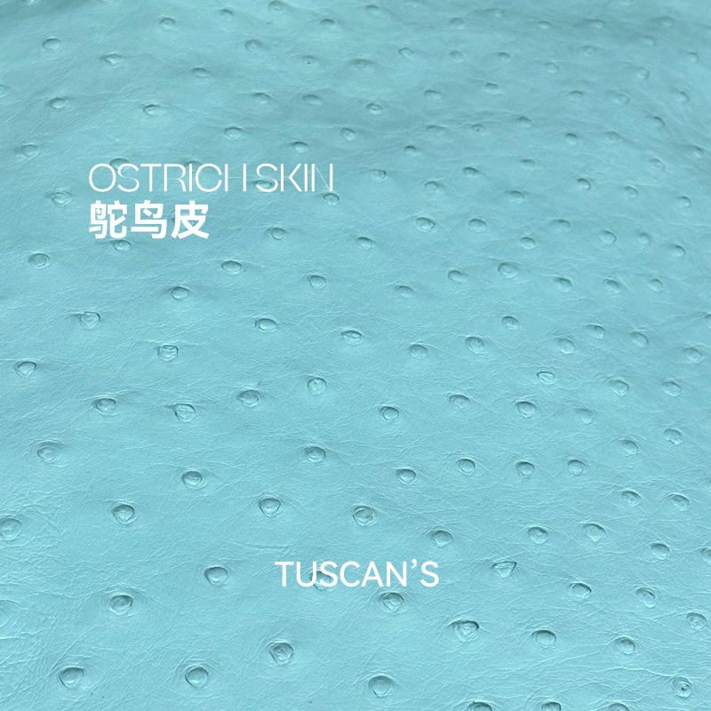 【集合11-20】时代集团高定女包单肩斜挎手提包