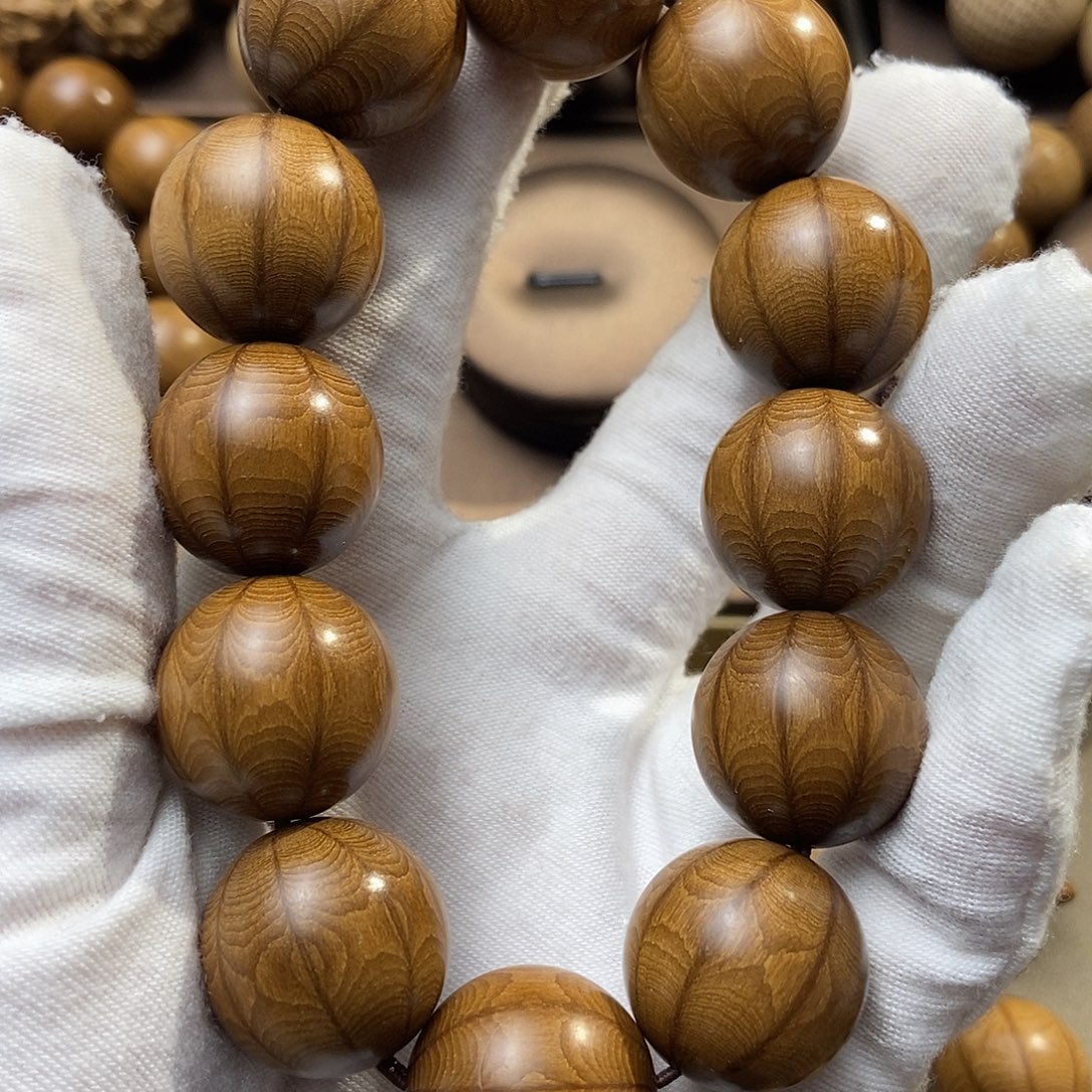 毛***邺六道木山西五台山