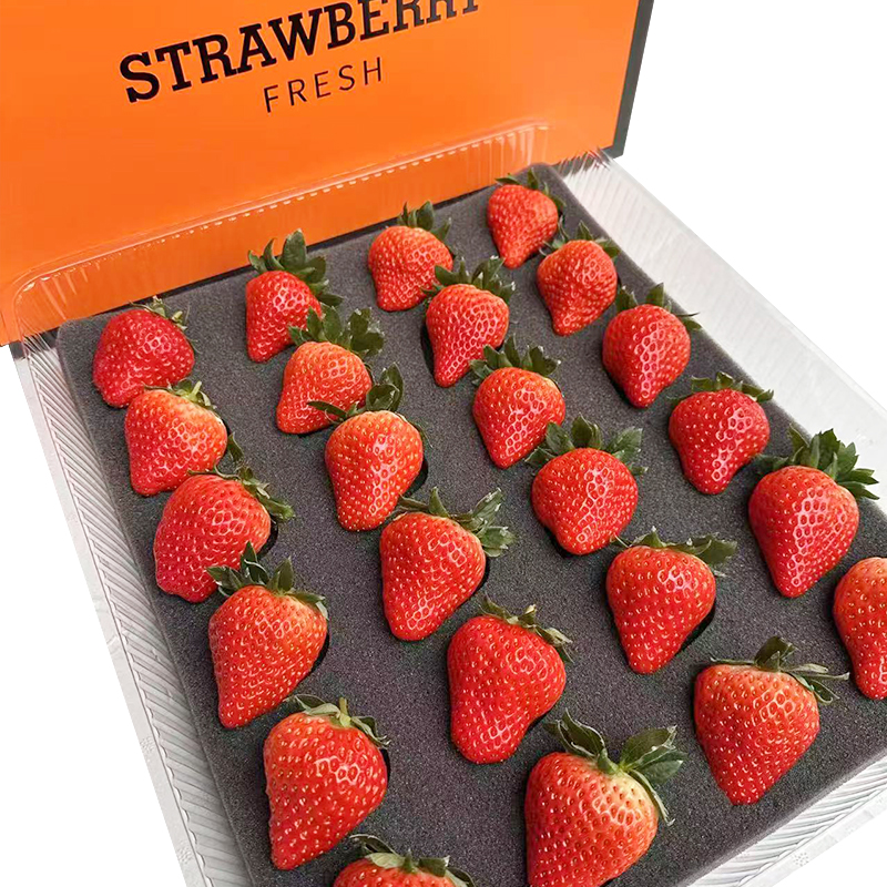 「礼盒草莓」正宗丹东99红颜大草莓核心产区空运直达现摘现发