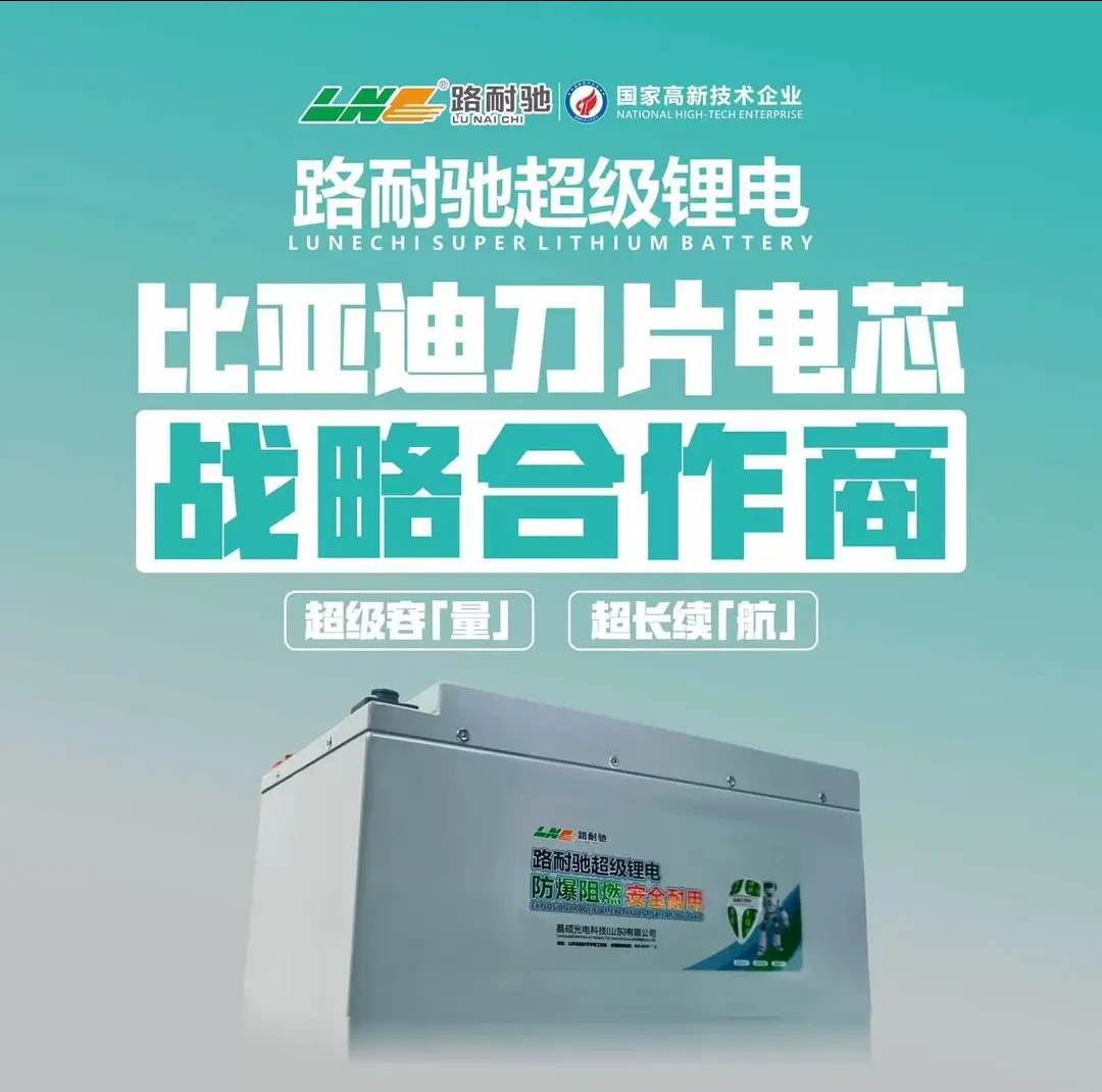 路耐驰60伏比亚迪刀片电芯全新A品磷酸铁锂电池三轮四轮专用锂电