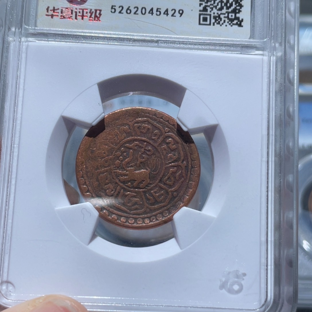金属通古博今姚姚5429