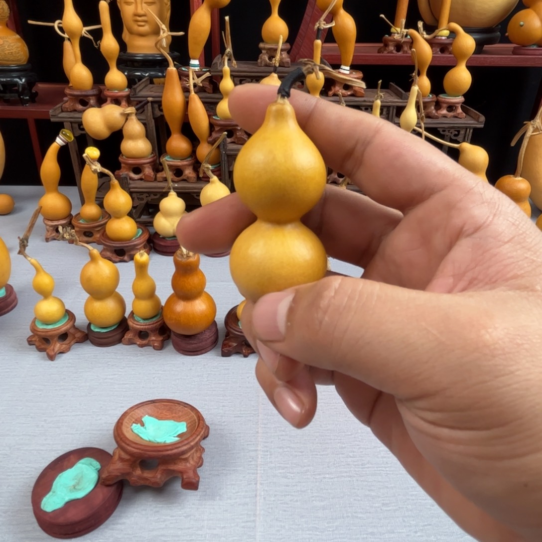 一***念藤木我的小可爱，一点也不像个女孩