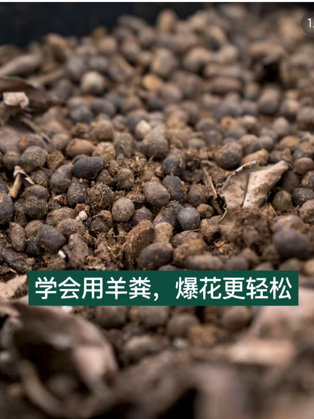 纯羊粪发酵颗粒有机肥适用于多肉绿植花卉蔬菜果树种植的营养土肥