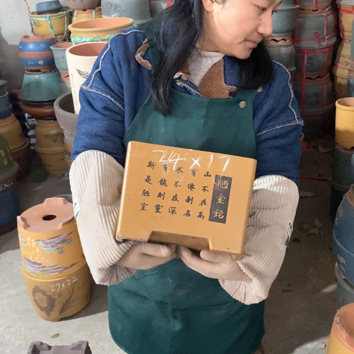 紫砂花盆盆栽花卉苗木种植