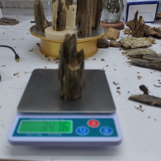 沉香碎屑沉香棋楠沉香虫漏小料34