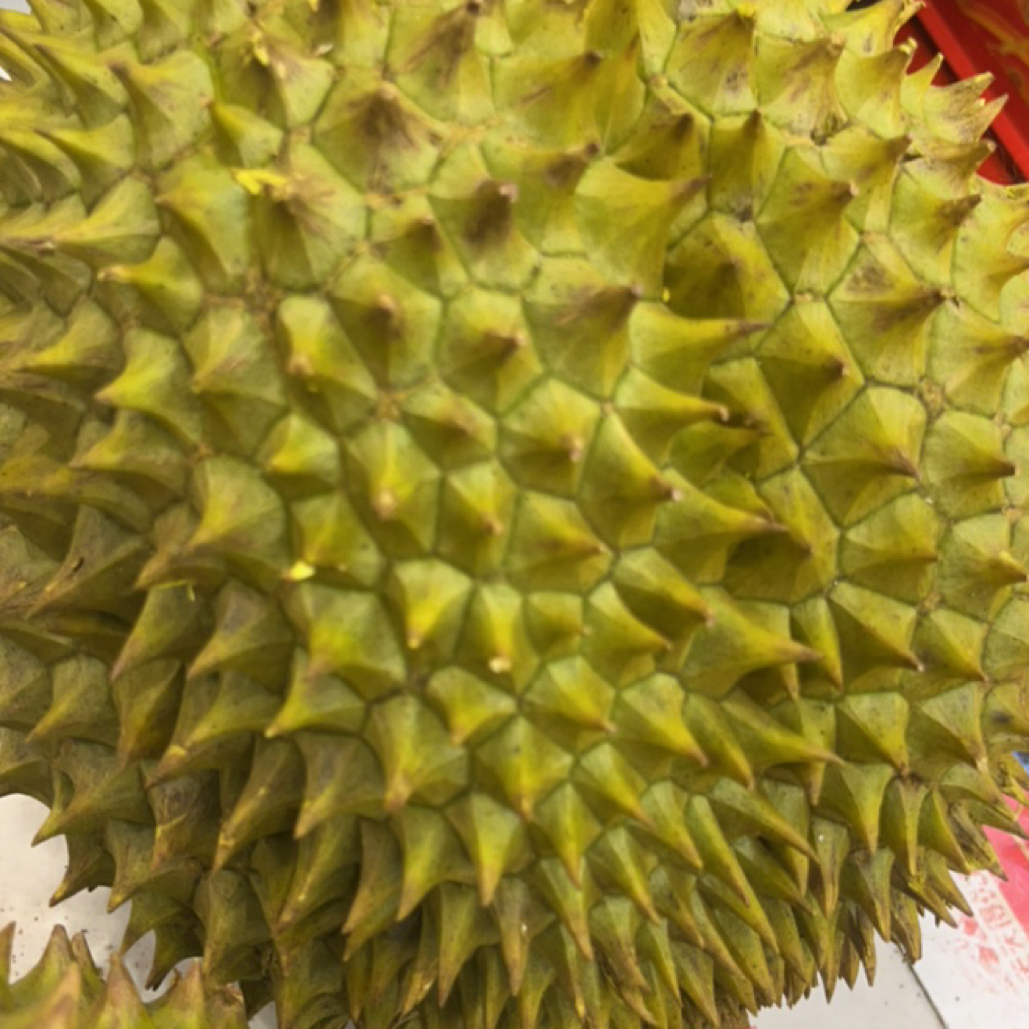 新鲜干饶榴莲一物一拍500g核大金枕泰国