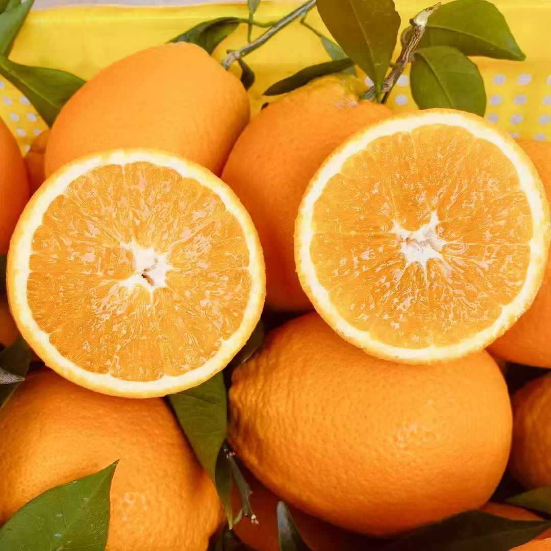自家正宗奉节脐橙现摘现发20斤60-75mm小果包邮