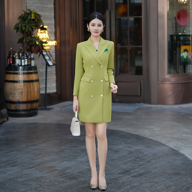 高级感连衣裙女士2025秋季新款薄款百褶显瘦时尚气质正式场合裙子