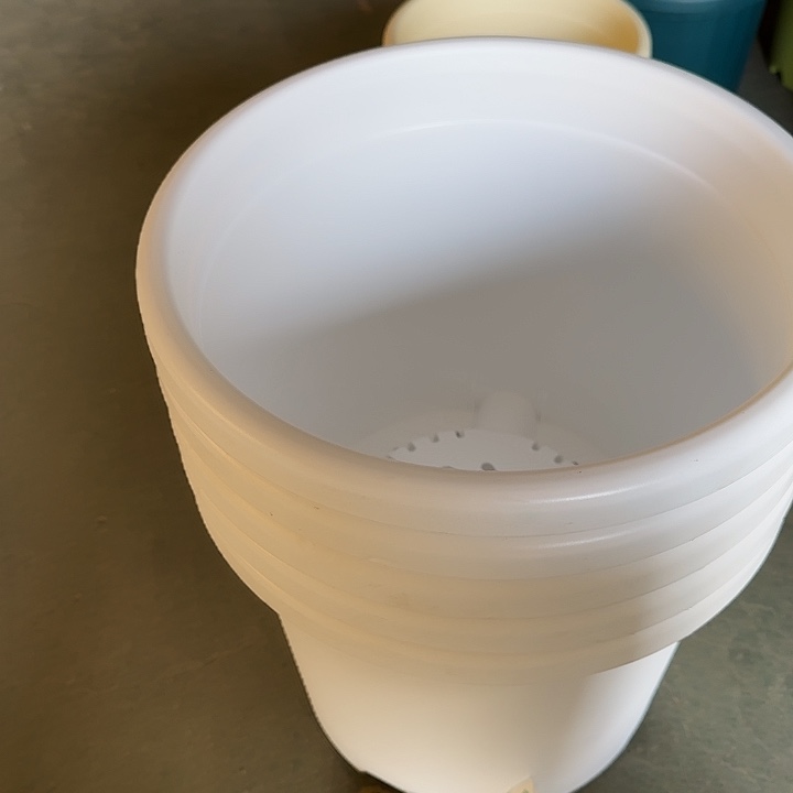 编号2700口29纯白无托5个