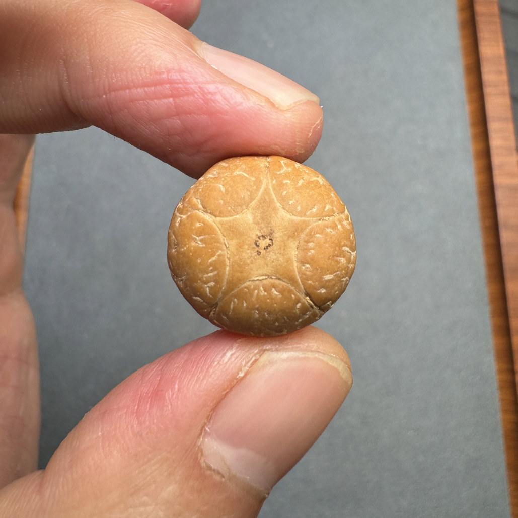 19+尼泊尔五星上将菩提凤眼三通佛头，非质量问题开孔不退
