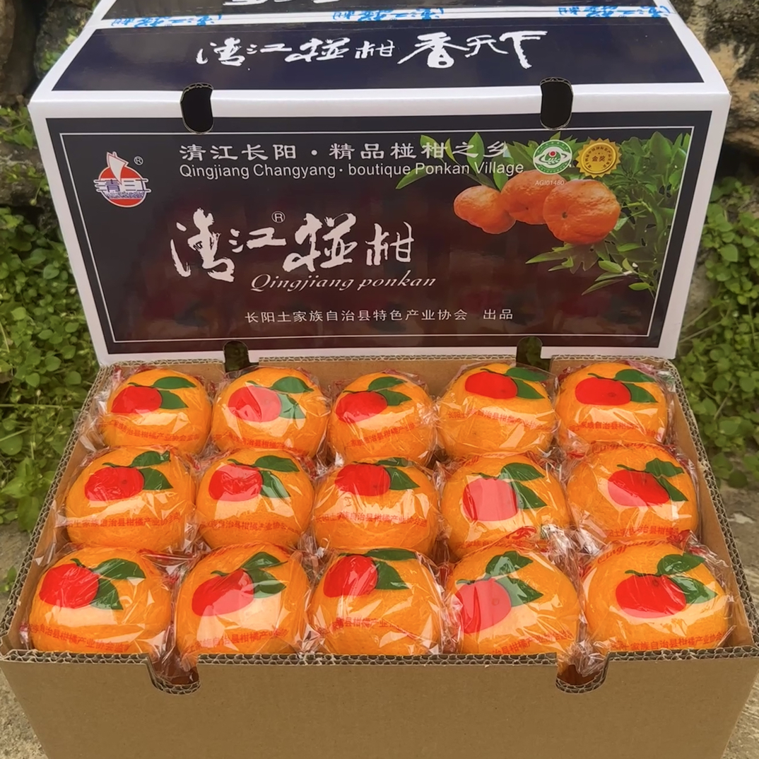 湖北正宗长阳清江椪柑岩松坪橘果农直发新鲜水果清甜小果整箱包邮